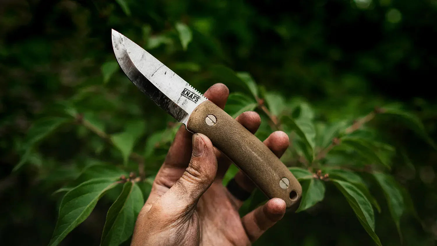 Best Pocket Knife for Food Prep When You’re Adventuring