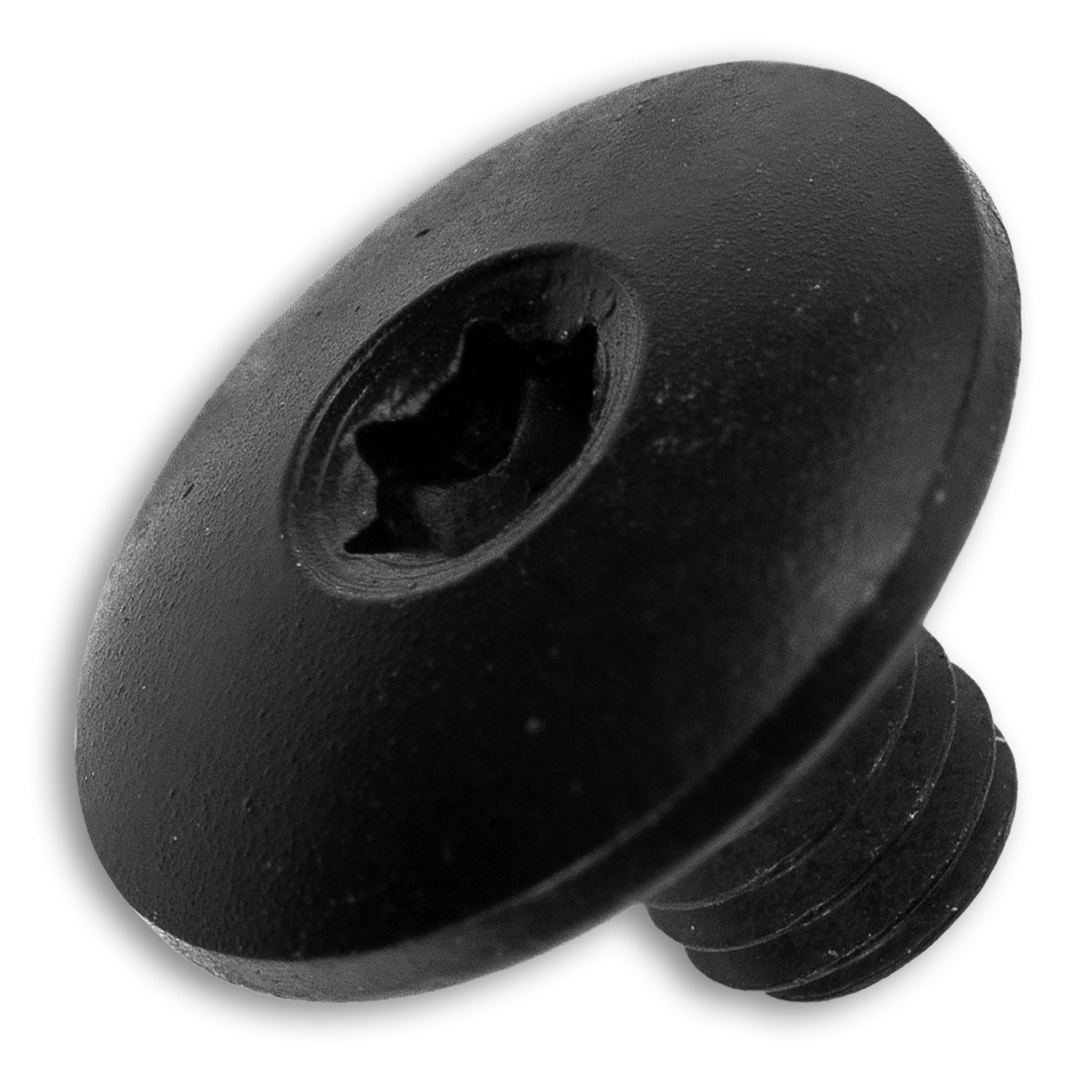 Pivot Screw - Lander 2 - Up close